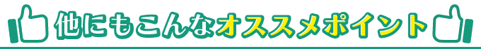 他にもこんなオススメポイント